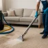 Zo houd je je tapijt stralend schoon in wanssum met lokale experts